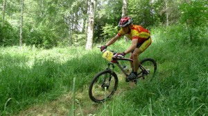 2015 Ch. bike 187