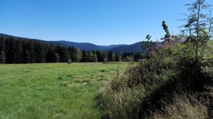 IMG 20160825 105129