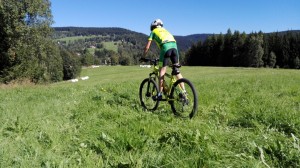 IMG 20160825 110147