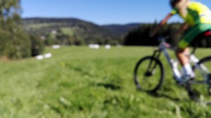 IMG 20160825 110315