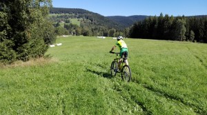 IMG 20160825 110656