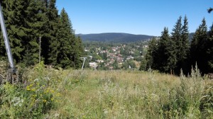 IMG 20160826 105536