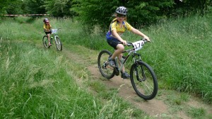 2015 Ch. bike 228