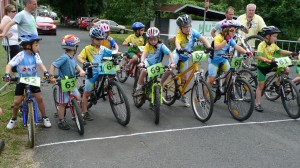 2015 Ch. bike 244